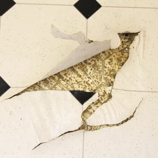 CV/PVC/Vinylboden reparieren - Alter weiß-schwarz gesprenkelter Linoleum-Vinylboden beschädigt mit Rissen darin mit dem vorherigen Boden darunter gesehen.